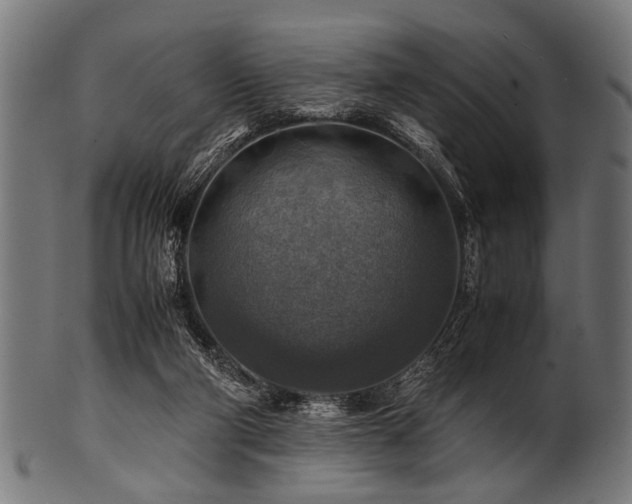 X0000100950114200806241513