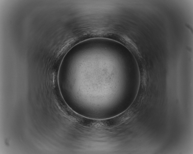X0000100950115200806241513