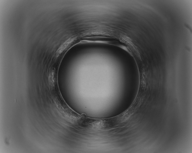 X0000100950116200806241513