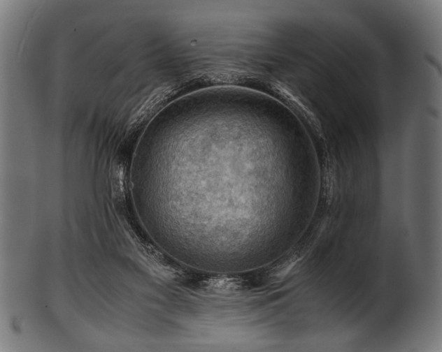 X0000100950117200806241513