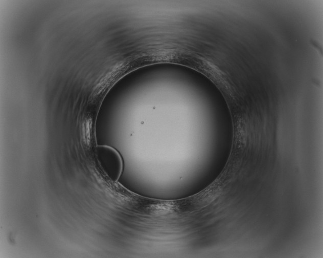 X0000100950118200806241513