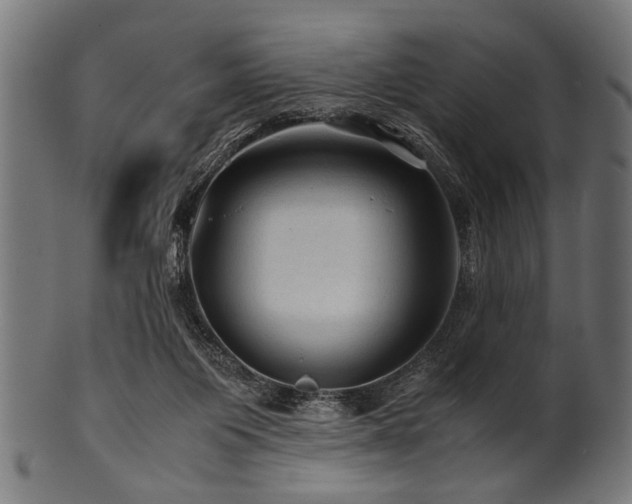 X0000100950119200806241513