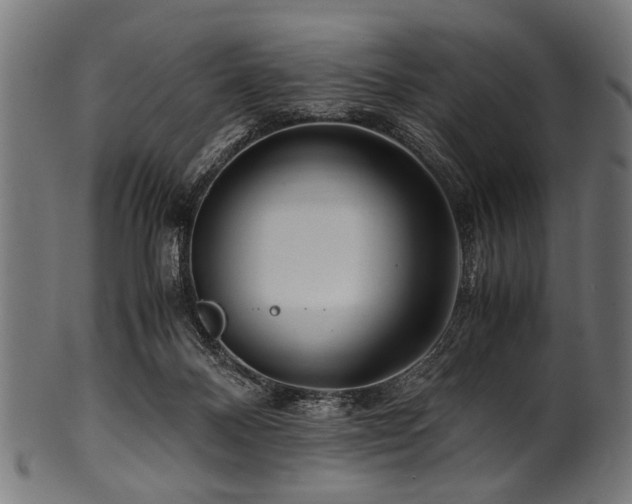 X0000100950120200806241513