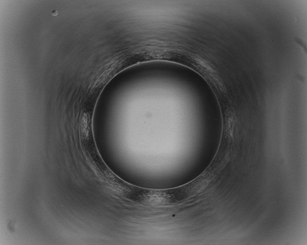 X0000100950121200806241513