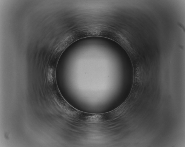 X0000100950122200806241513