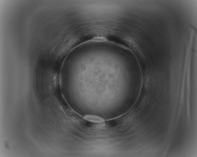 X0000100950123200806241513