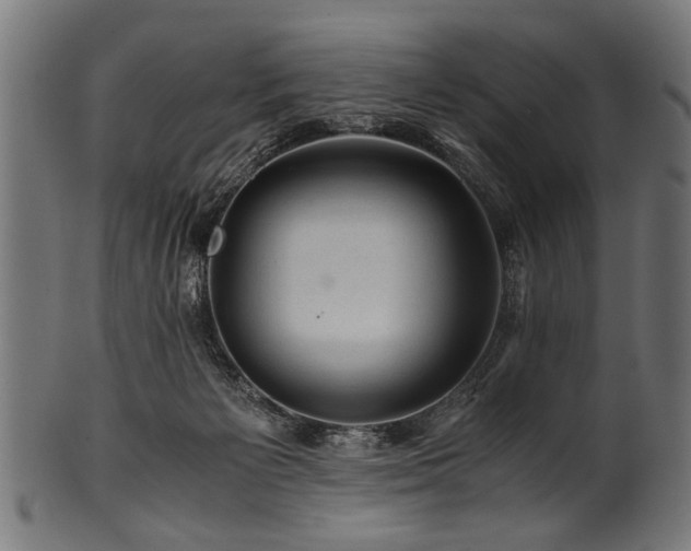 X0000100950125200806241513