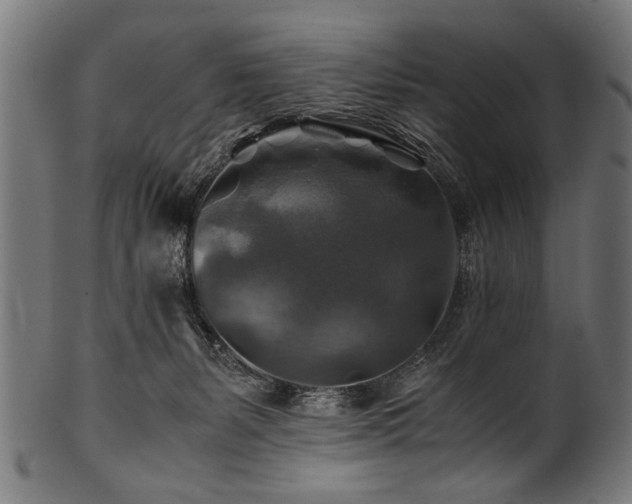 X0000100950127200806241512