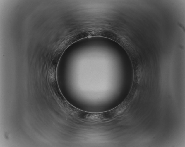 X0000100950129200806241512