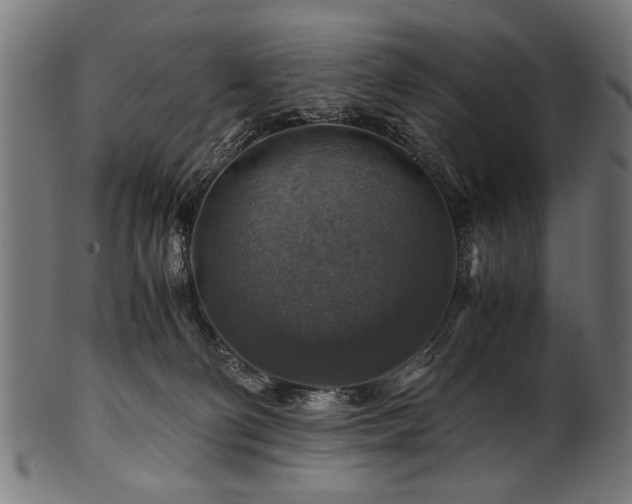 X0000100950130200806241512