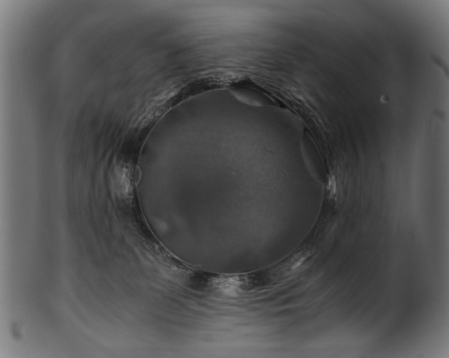 X0000100950131200806241512