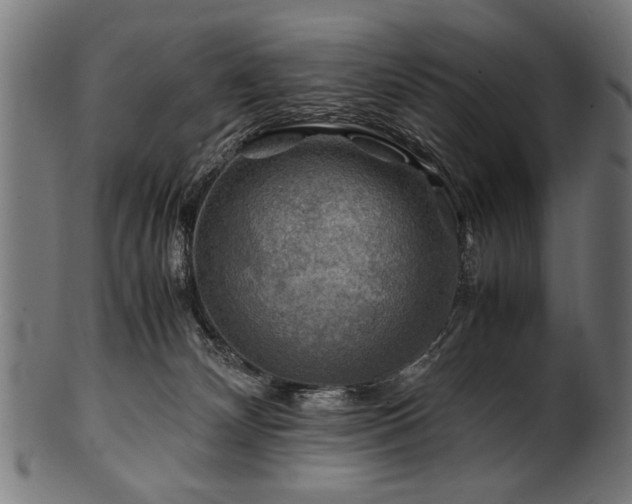 X0000100950132200806241512