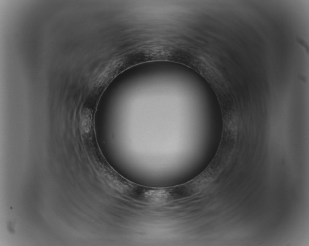 X0000100950133200806241512