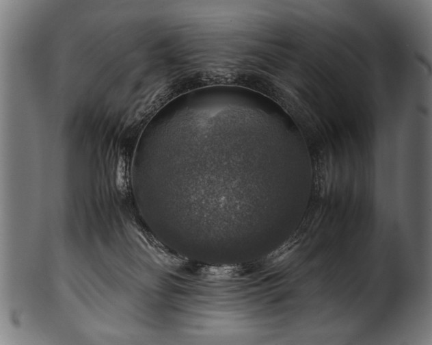 X0000100950134200806241512