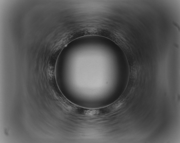 X0000100950135200806241512