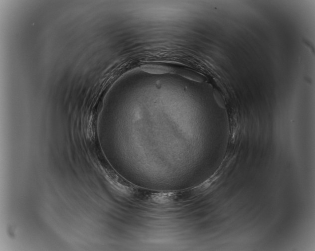 X0000100950136200806241512