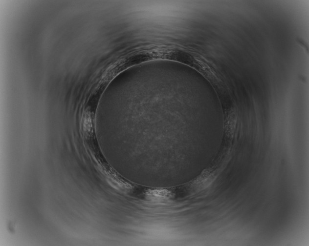 X0000100950137200806241512