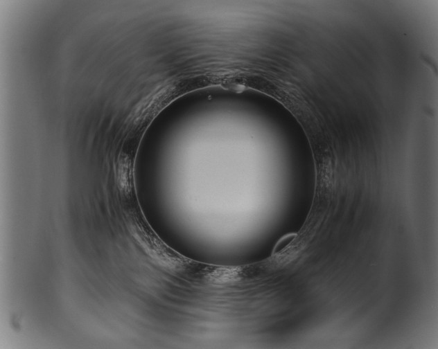 X0000100950138200806241512
