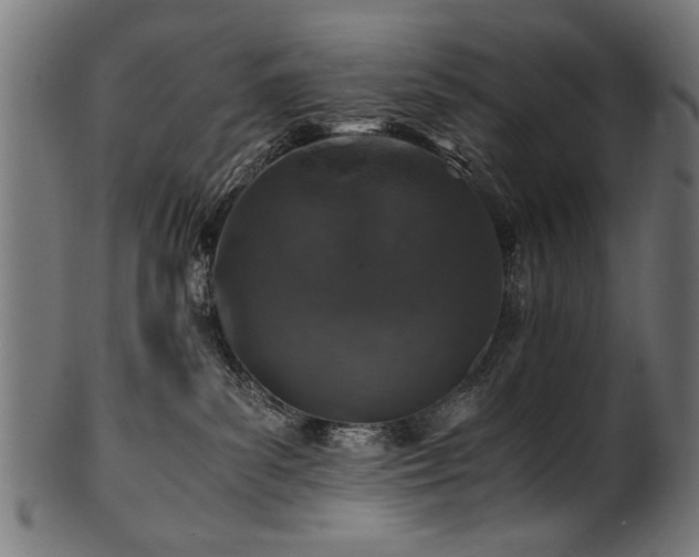 X0000100950139200806241512