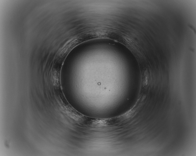 X0000100950140200806241512