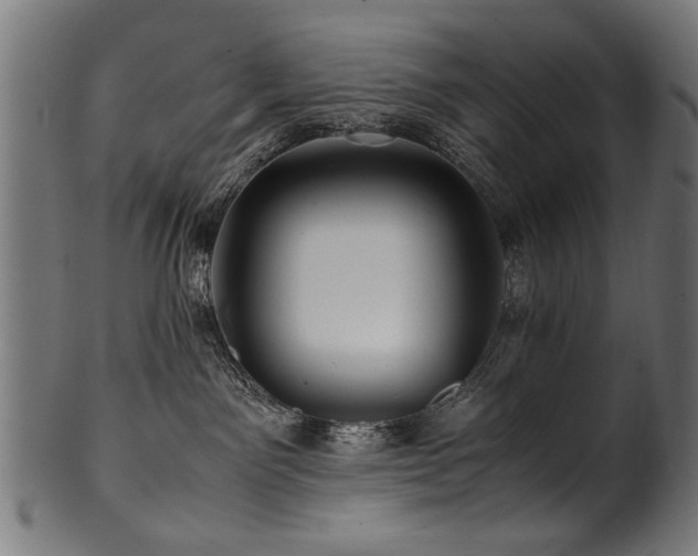 X0000100950141200806241512
