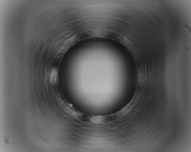 X0000100950142200806241512