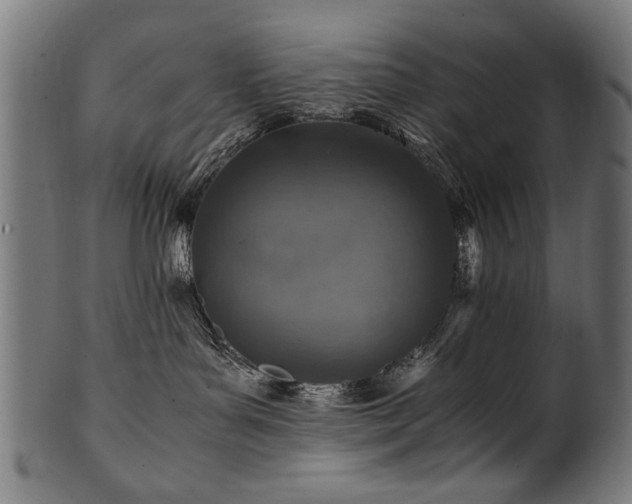 X0000100950143200806241512