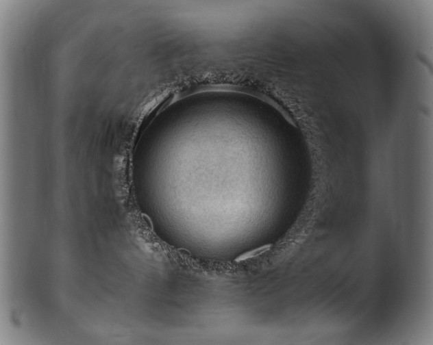X0000100950144200806241512