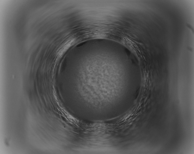 X0000100950145200806241511