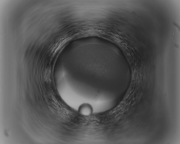 X0000100950146200806241511