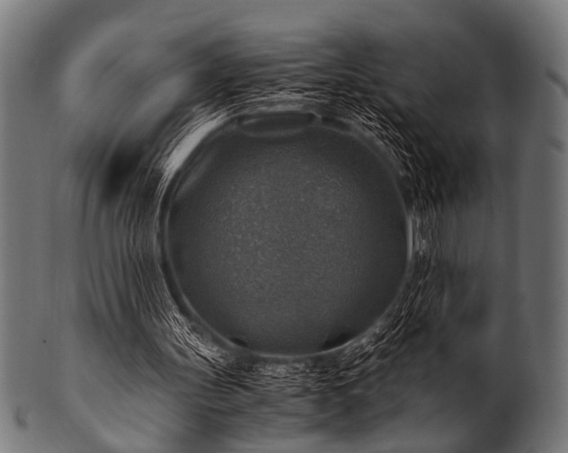 X0000100950147200806241511