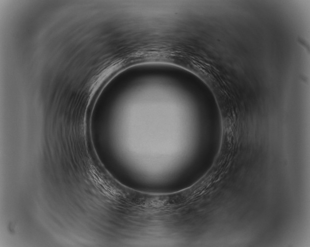 X0000100950148200806241511