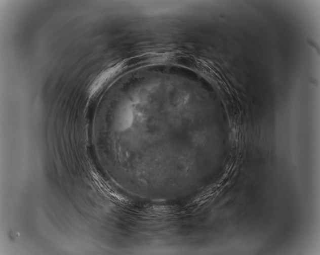 X0000100950149200806241511