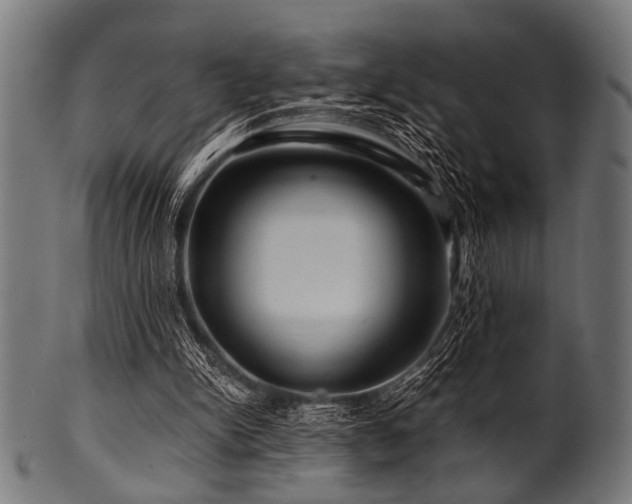 X0000100950150200806241511