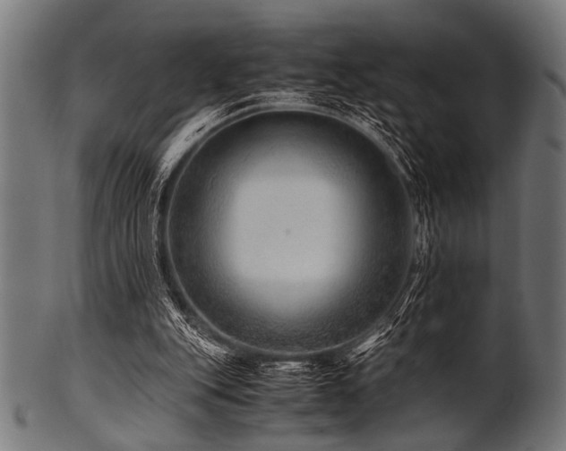 X0000100950151200806241511