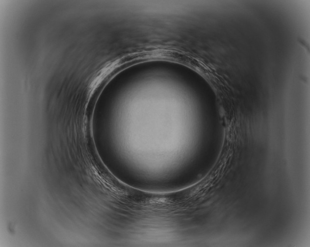 X0000100950152200806241511