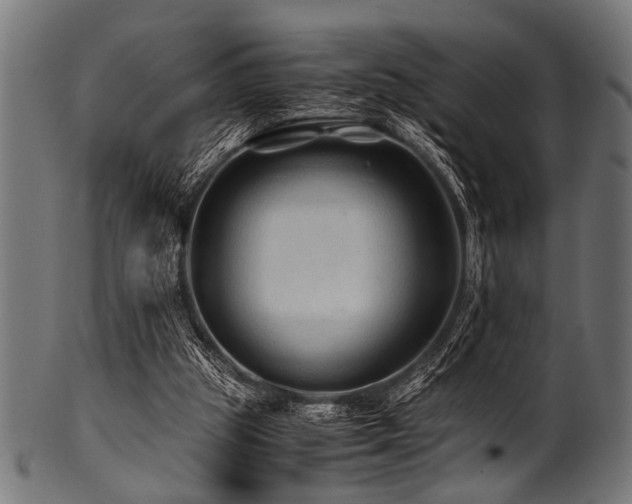 X0000100950153200806241511