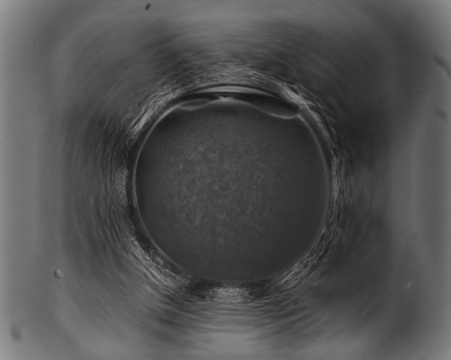 X0000100950154200806241512