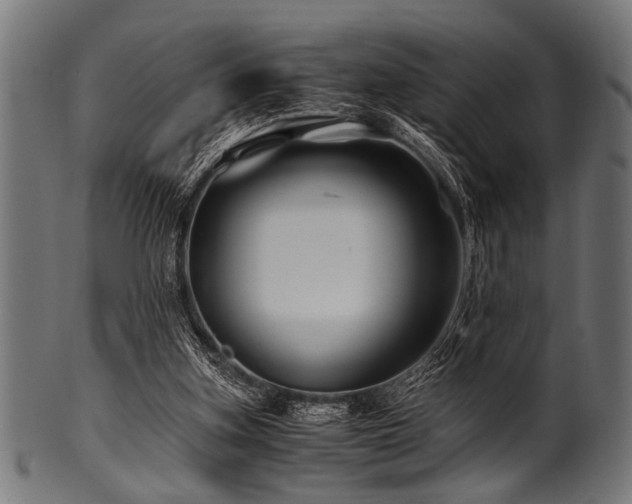 X0000100950155200806241512