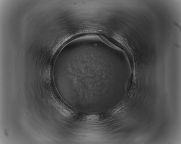 X0000100950156200806241512
