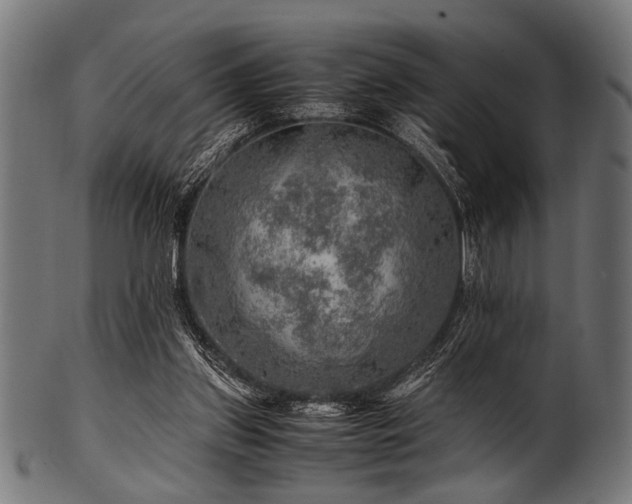 X0000100950157200806241512