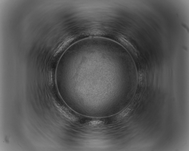 X0000100950158200806241512