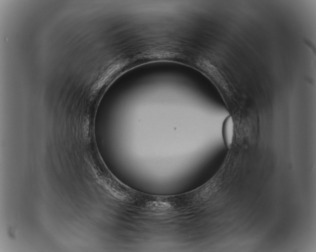 X0000100950159200806241512