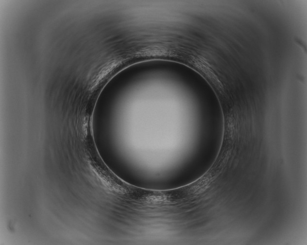 X0000100950160200806241512
