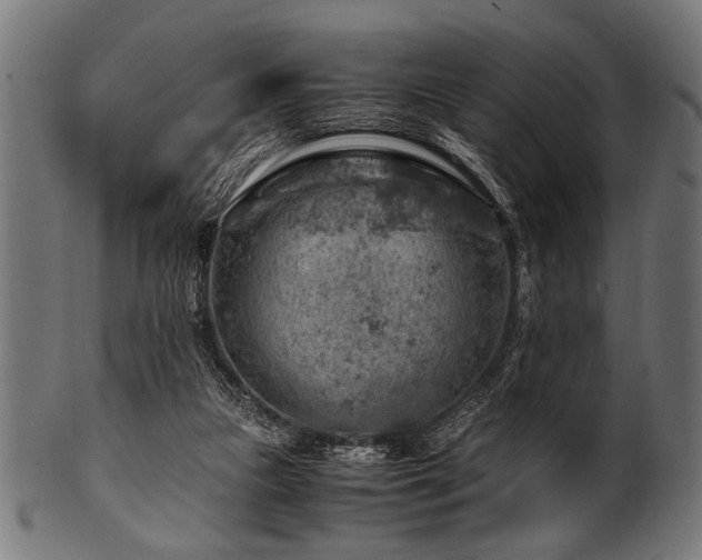 X0000100950161200806241512