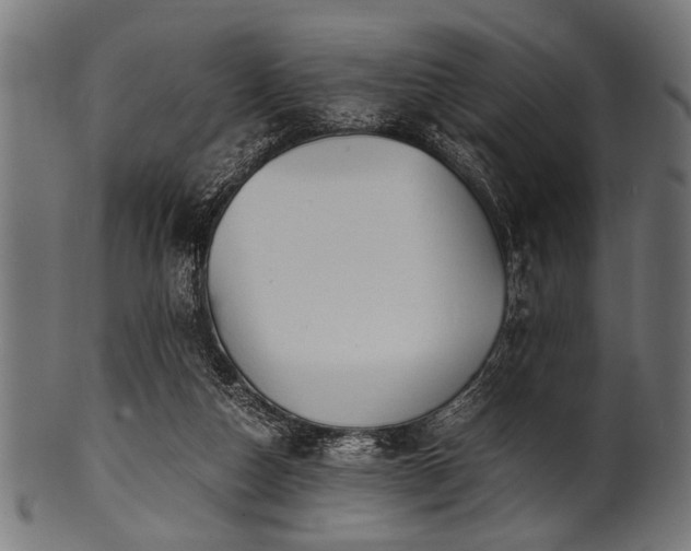 X0000100950162200806241512