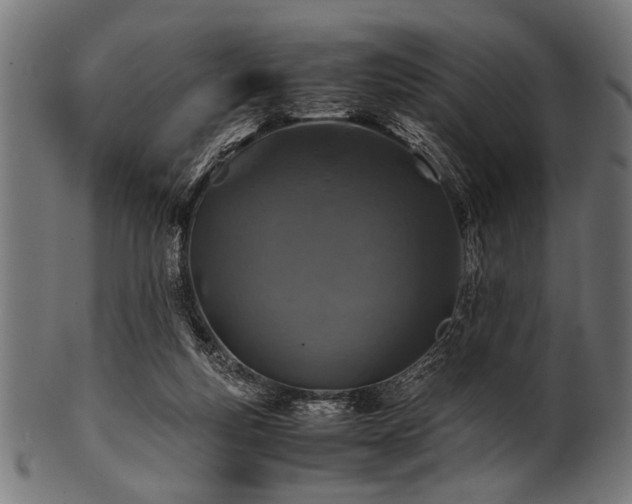 X0000100950163200806241512