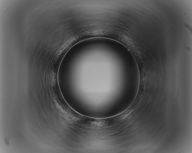 X0000100950164200806241512