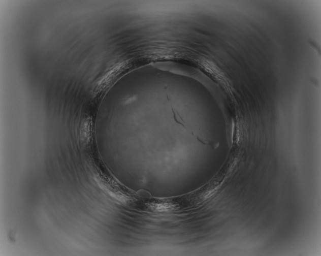 X0000100950165200806241512