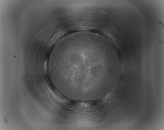 X0000100950166200806241512